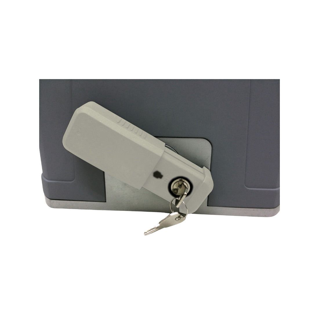 PL800 Wifi+Bluetooth Smart Gate Opener